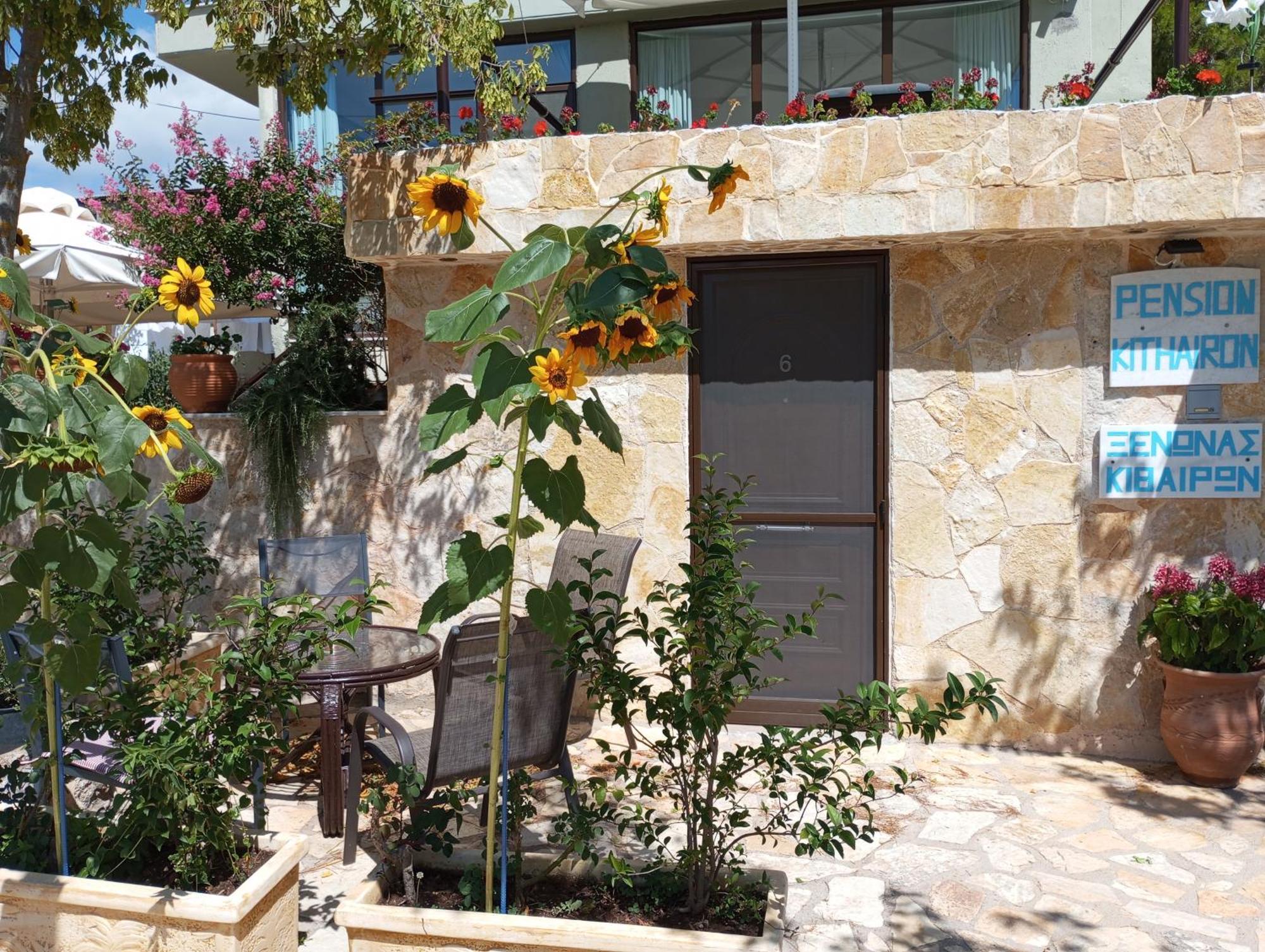 Hotel Xenonas Κithαiron Vília Exterior foto